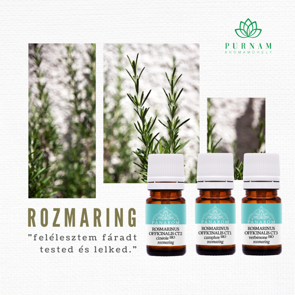 Rozmaring hatása